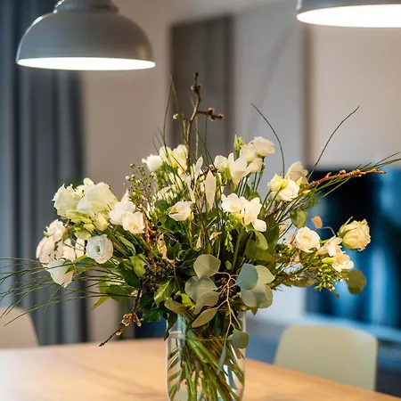 Domizil Am Kurort Gohrisch